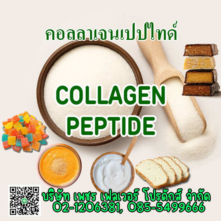 Images/Blog/51CzHf2j-Collagen.jpg