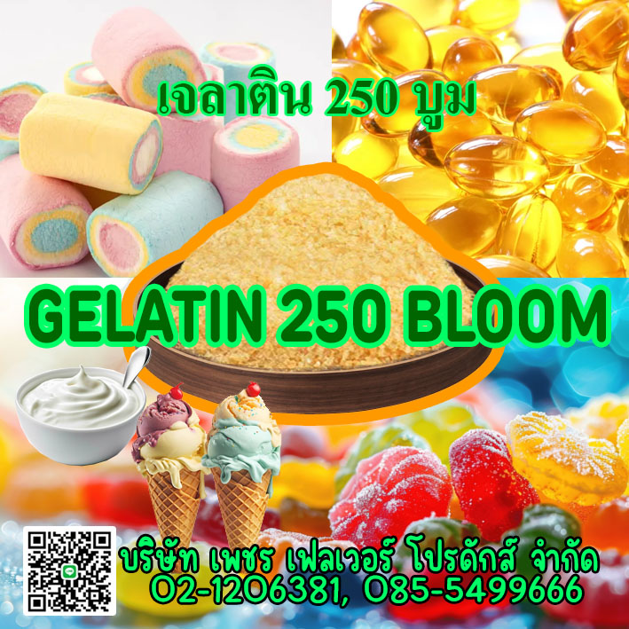 Images/Blog/gweJXfCX-Gelatin 250 Bloom.jpg